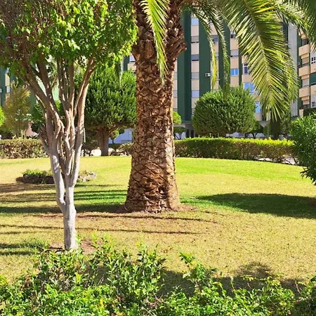 Jenofonte Zj Apartamento